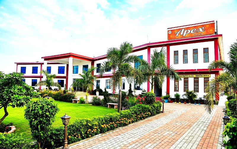 Apex School